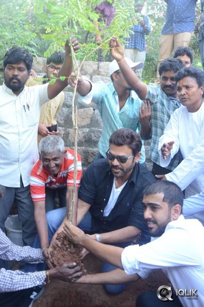 -Venkatesh-At-Haritha-Haaram-Event